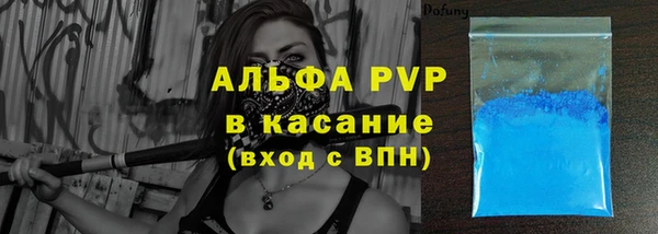 хмурый Инсар