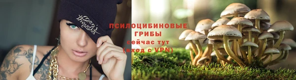 дистиллят марихуана Зеленокумск