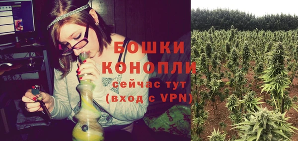 хмурый Инсар