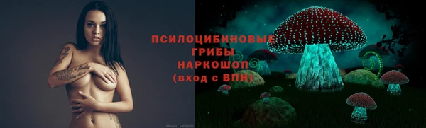мдпв Иннополис