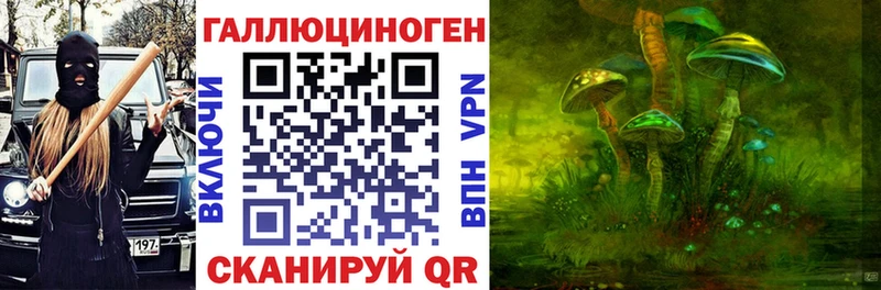 Купить  Красноярск  Галлюциногенные грибы Cubensis 